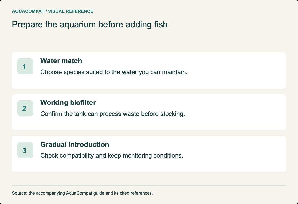 Water match: Choose species suited to the water you can maintain. Working biofilter: Confirm the tank can process waste before stocking. Gradual introduction: Check compatibility and keep monitoring conditions.
