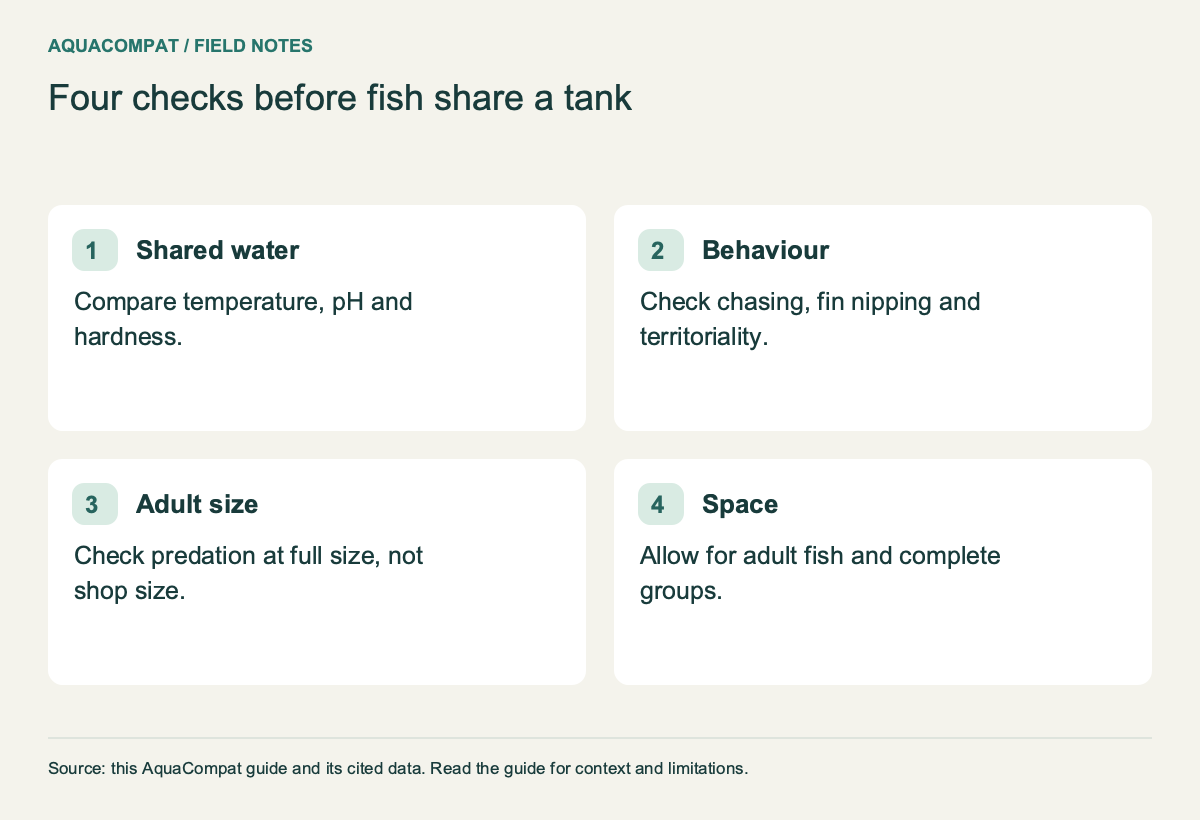 Shared water: Compare temperature, pH and hardness. Behaviour: Check chasing, fin nipping and territoriality. Adult size: Check predation at full size, not shop size. Space: Allow for adult fish and complete groups.